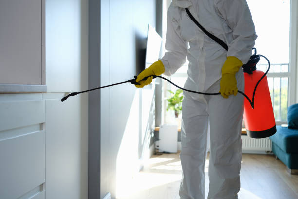 Best Fast Mold Removal  in Oak Park Heights, MN
